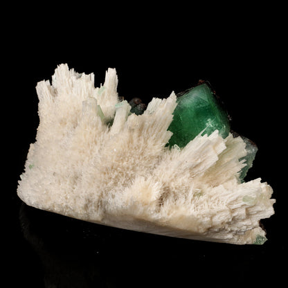 Scolecite Sprays with green Apophyllite cube Free Standing Natural Mineral Specimen # B 6326