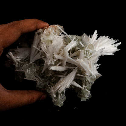 Scolecite Sprays with green Apophyllite cube Natural Mineral Specimen # B 6548