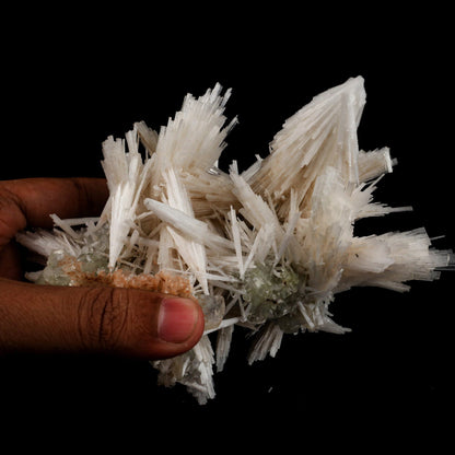 Scolecite Sprays with green Apophyllite cube Natural Mineral Specimen # B 6548