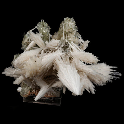 Scolecite Sprays with green Apophyllite cube Natural Mineral Specimen # B 6548