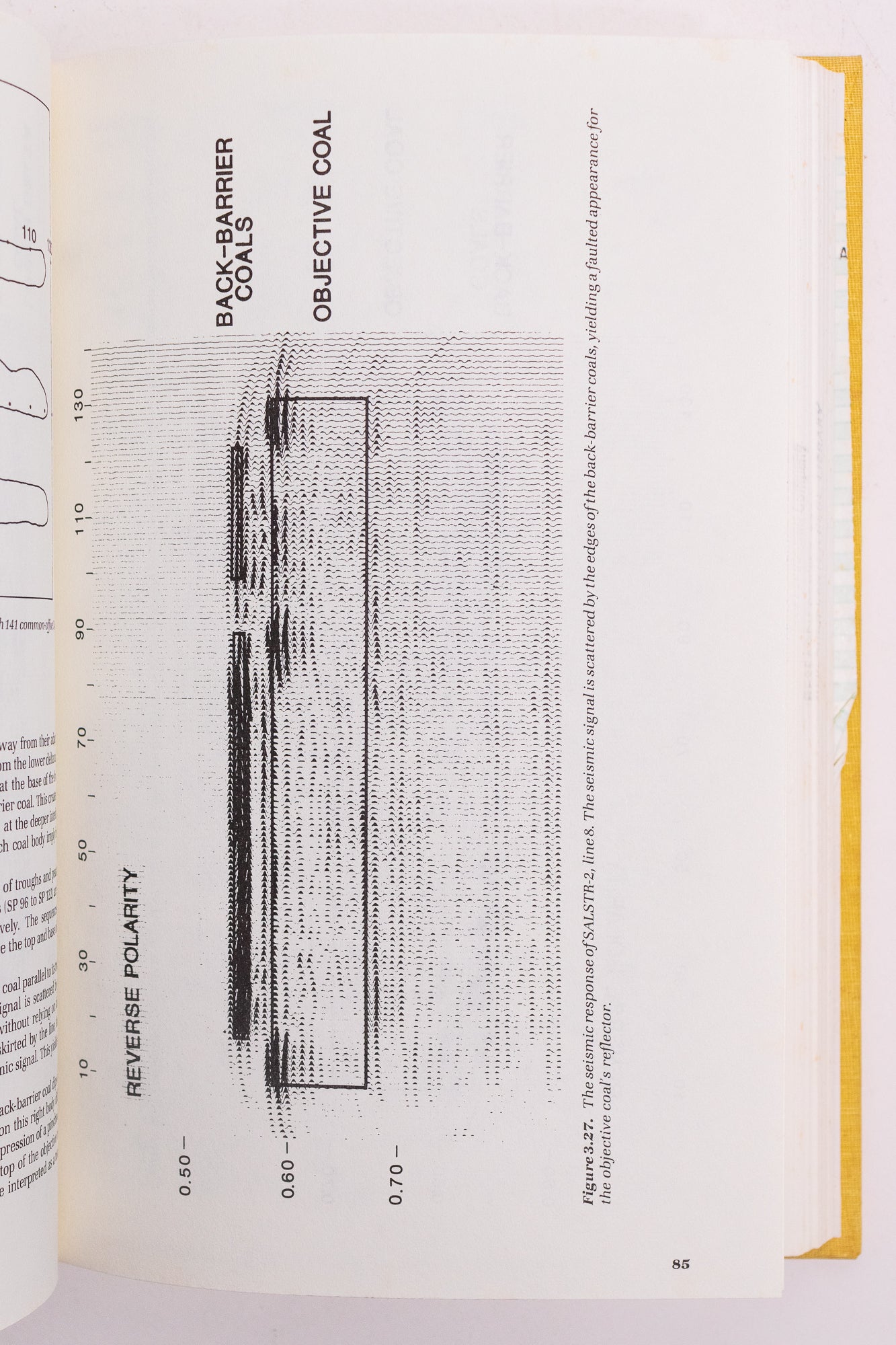 Seismic Studies in Physical Modeling Books Stemcell Science Shop