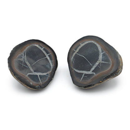 Septarian Nodules