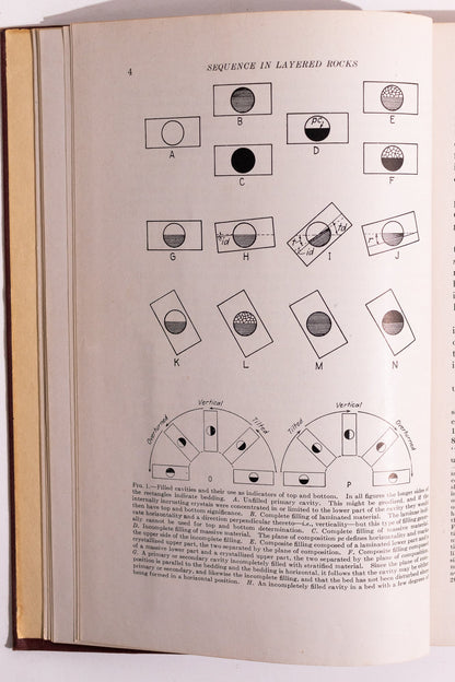 Sequence in Layered Rocks Books Stemcell Science Shop