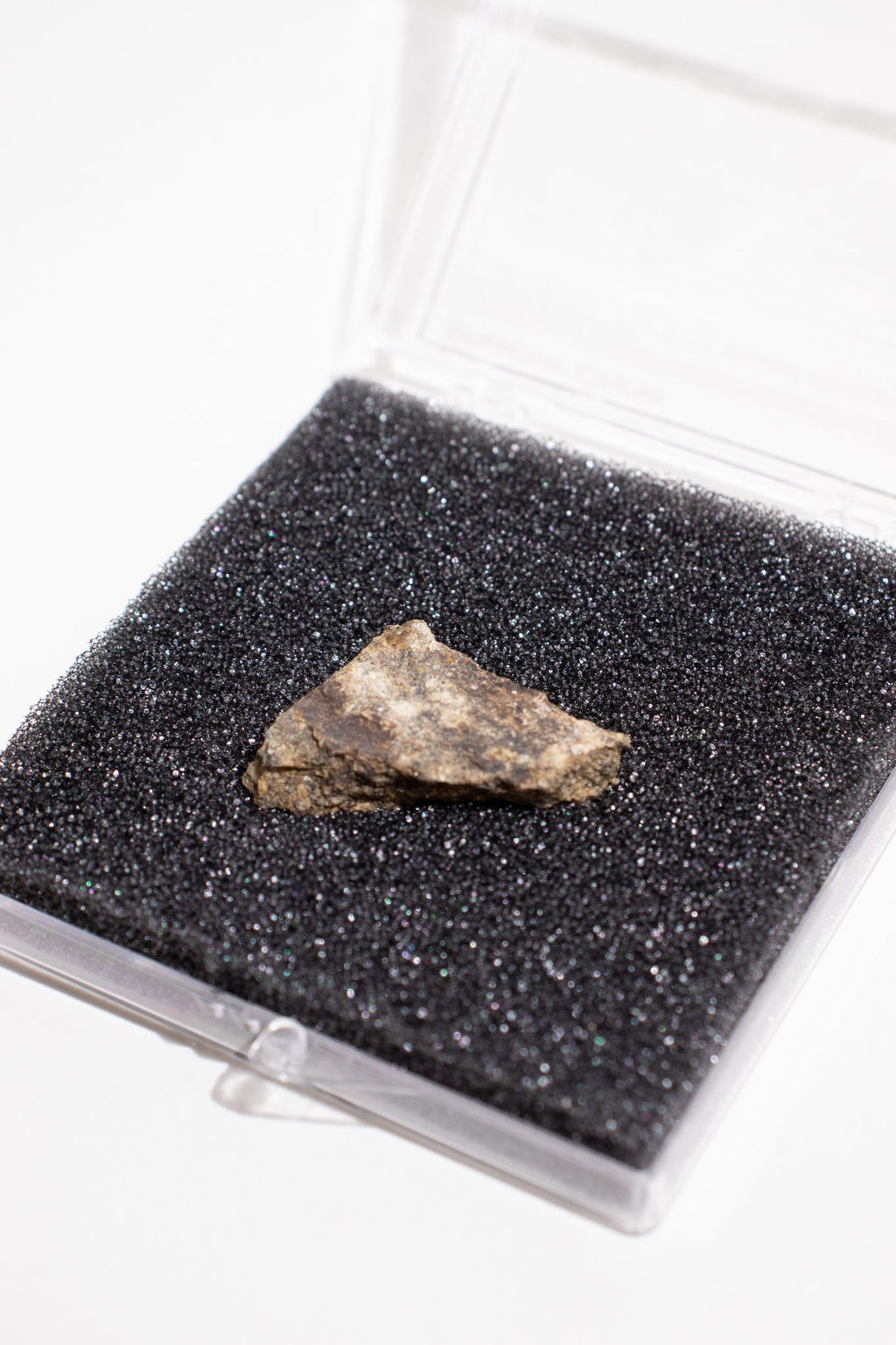 Shatter Cone, Small shattercone at Stemcell Science Shop