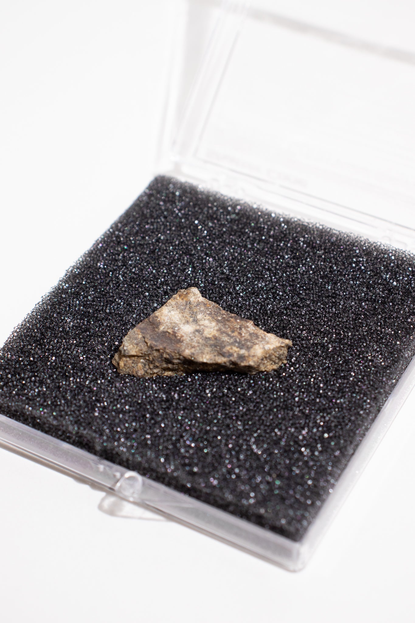 Shatter Cone, Small shattercone at Stemcell Science Shop