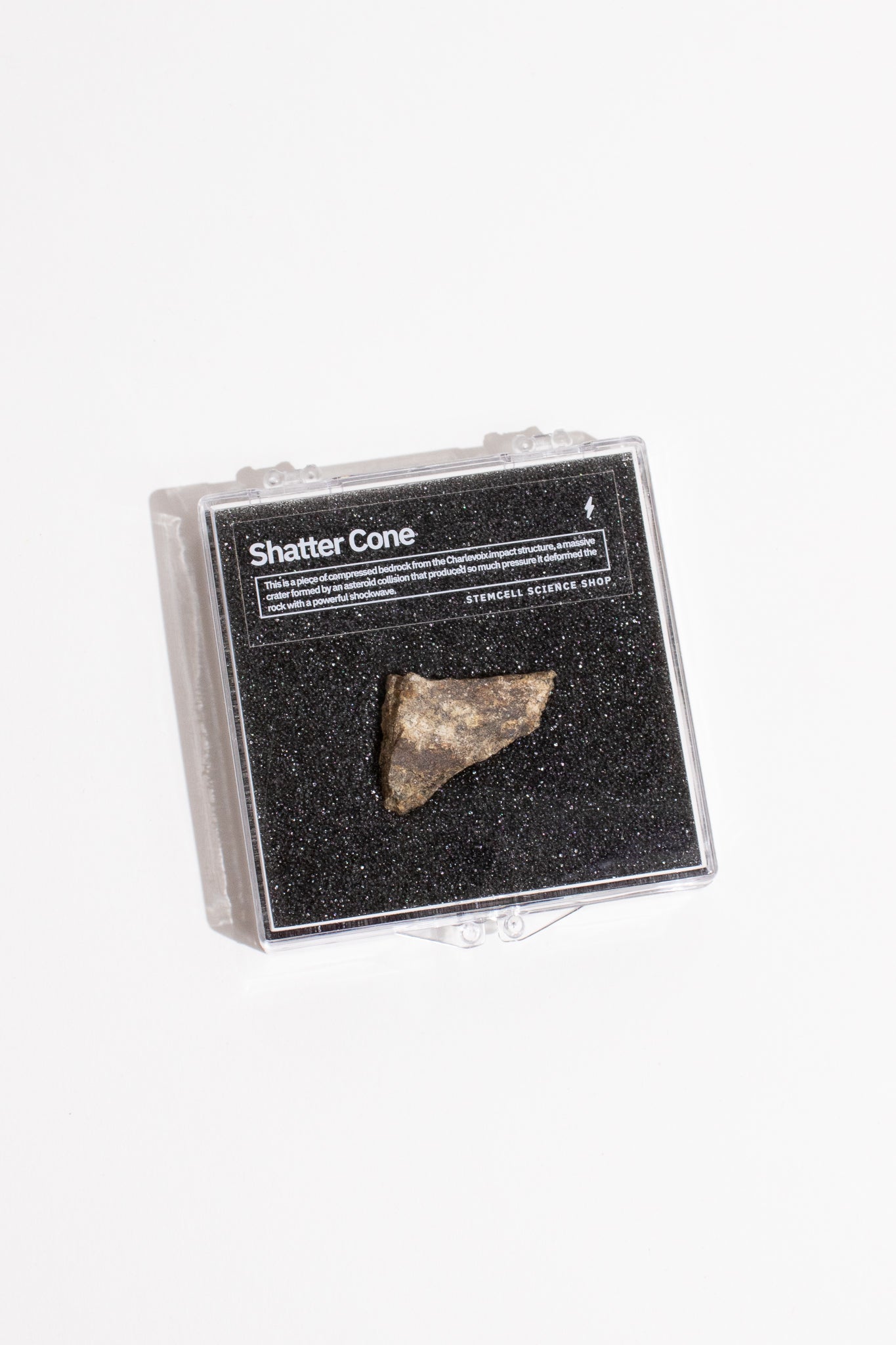 Shatter Cone, Small shattercone at Stemcell Science Shop