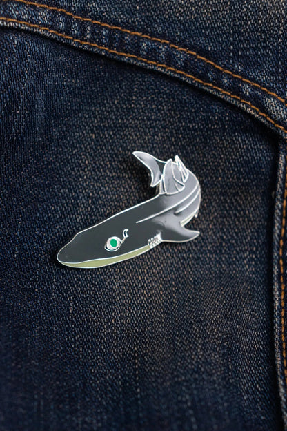 Shortspine spurdog (Squalus mitsukurii) Pin - Pin from Stemcell Science Shop