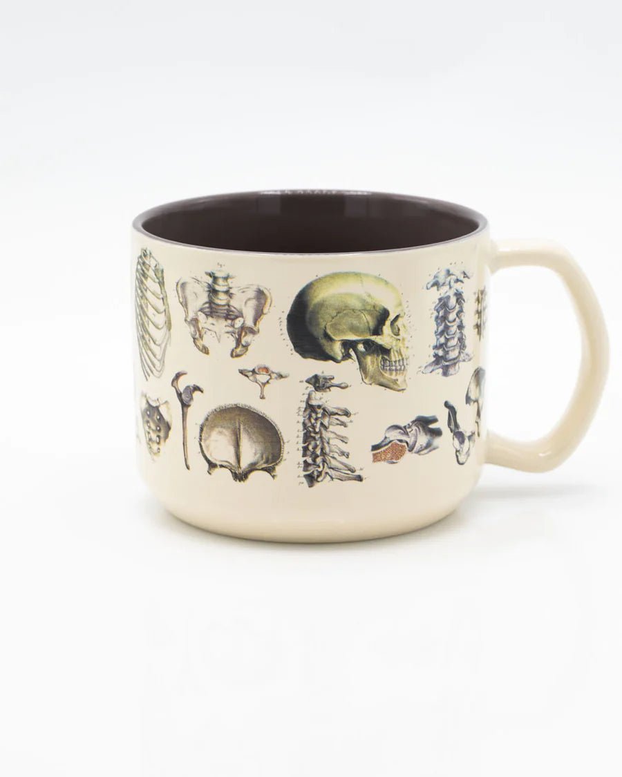 Skeleton Ceramic Mug Stemcell Science Shop