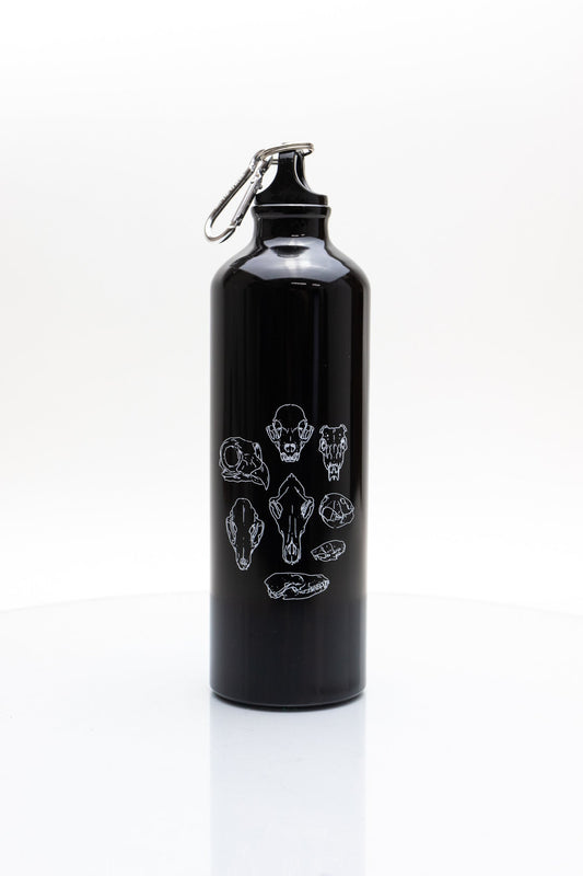 Skulls Bottle - Drinkware from Stemcell Science Shop