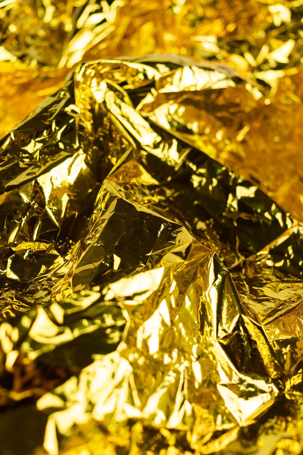 Space Blanket, Gold/Silver at Stemcell Science Shop