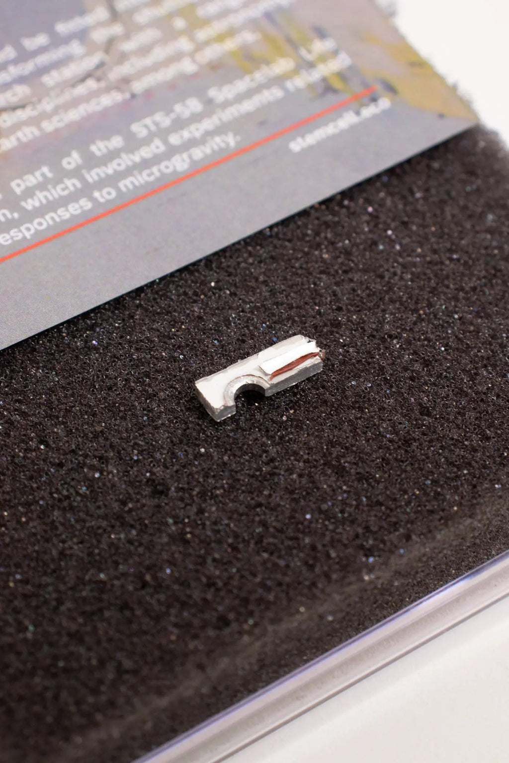 Spacelab Fragment, Default Title at Stemcell Science Shop