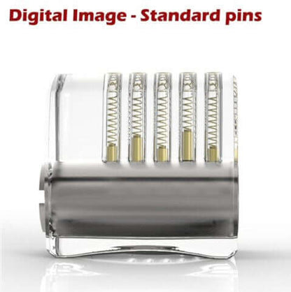 Dangerfield Clear Acrylic Practice Lock - Standard Pins - Medium difficulty