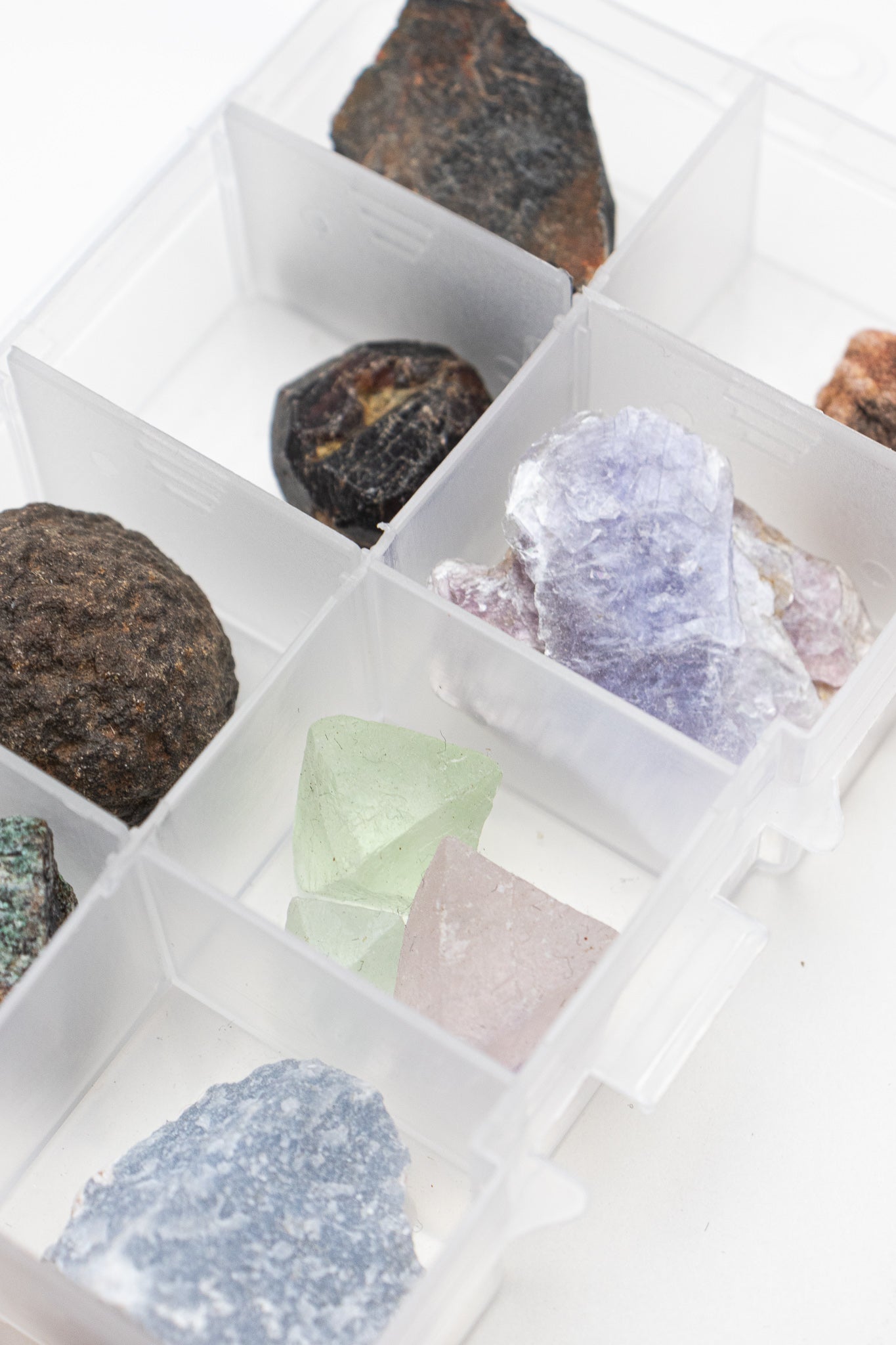 Specimen Collection Box, Default Title at Stemcell Science Shop