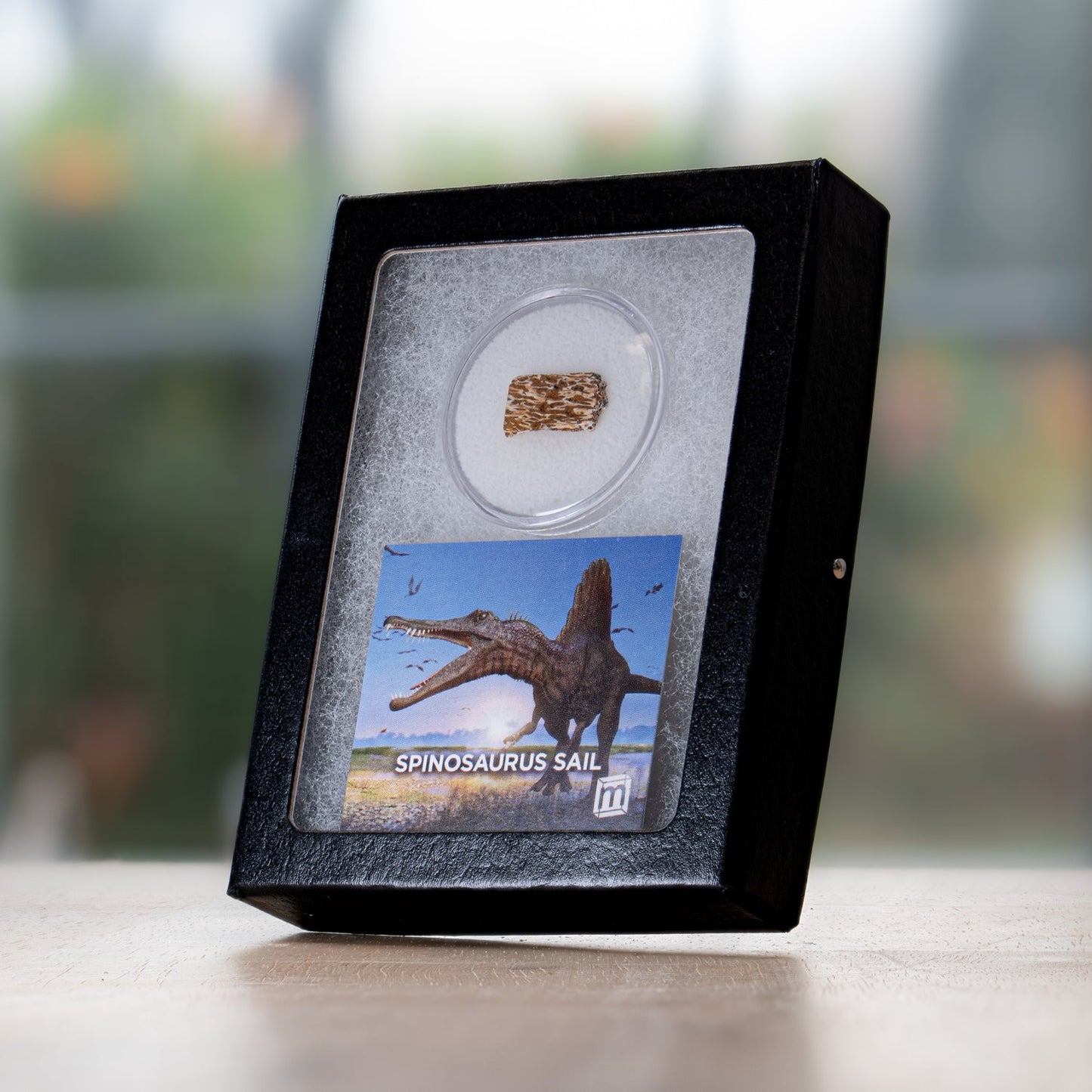 Spinosaurus Sail