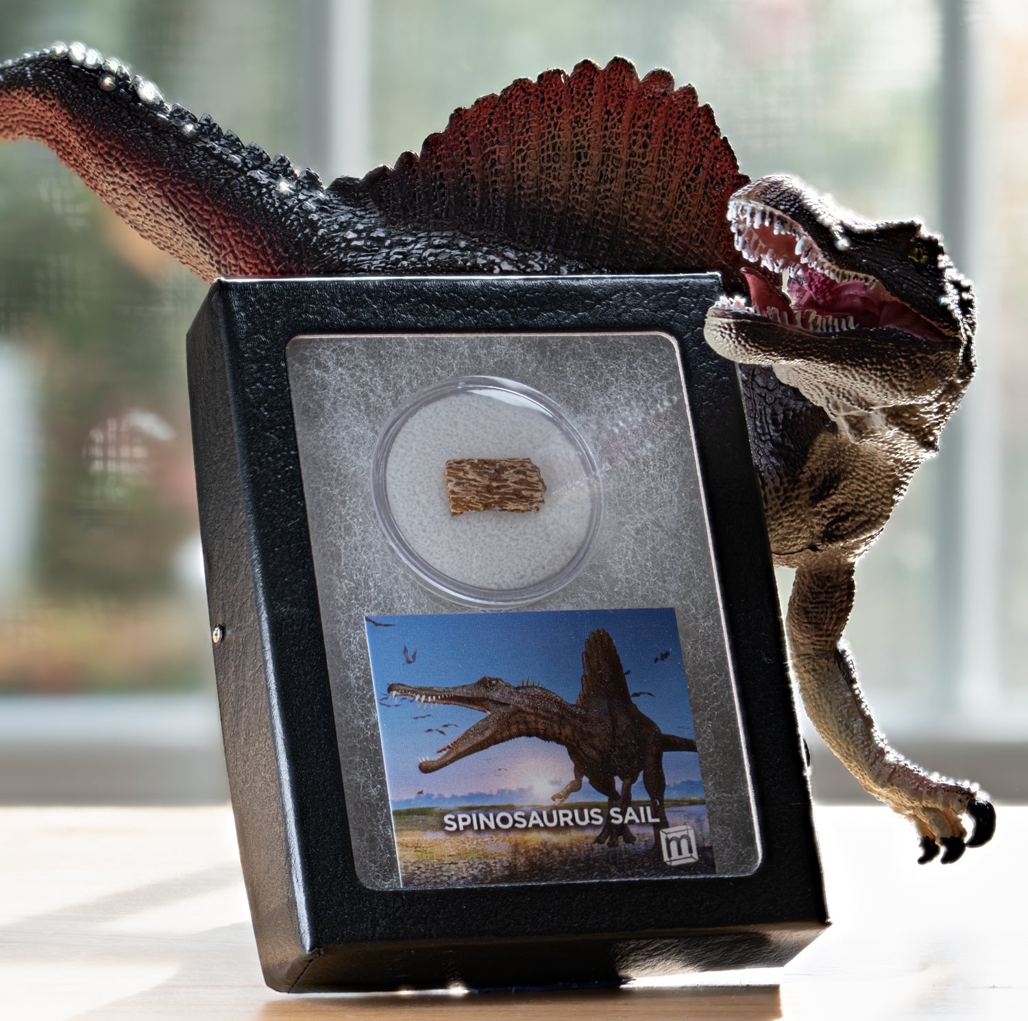 Spinosaurus Sail