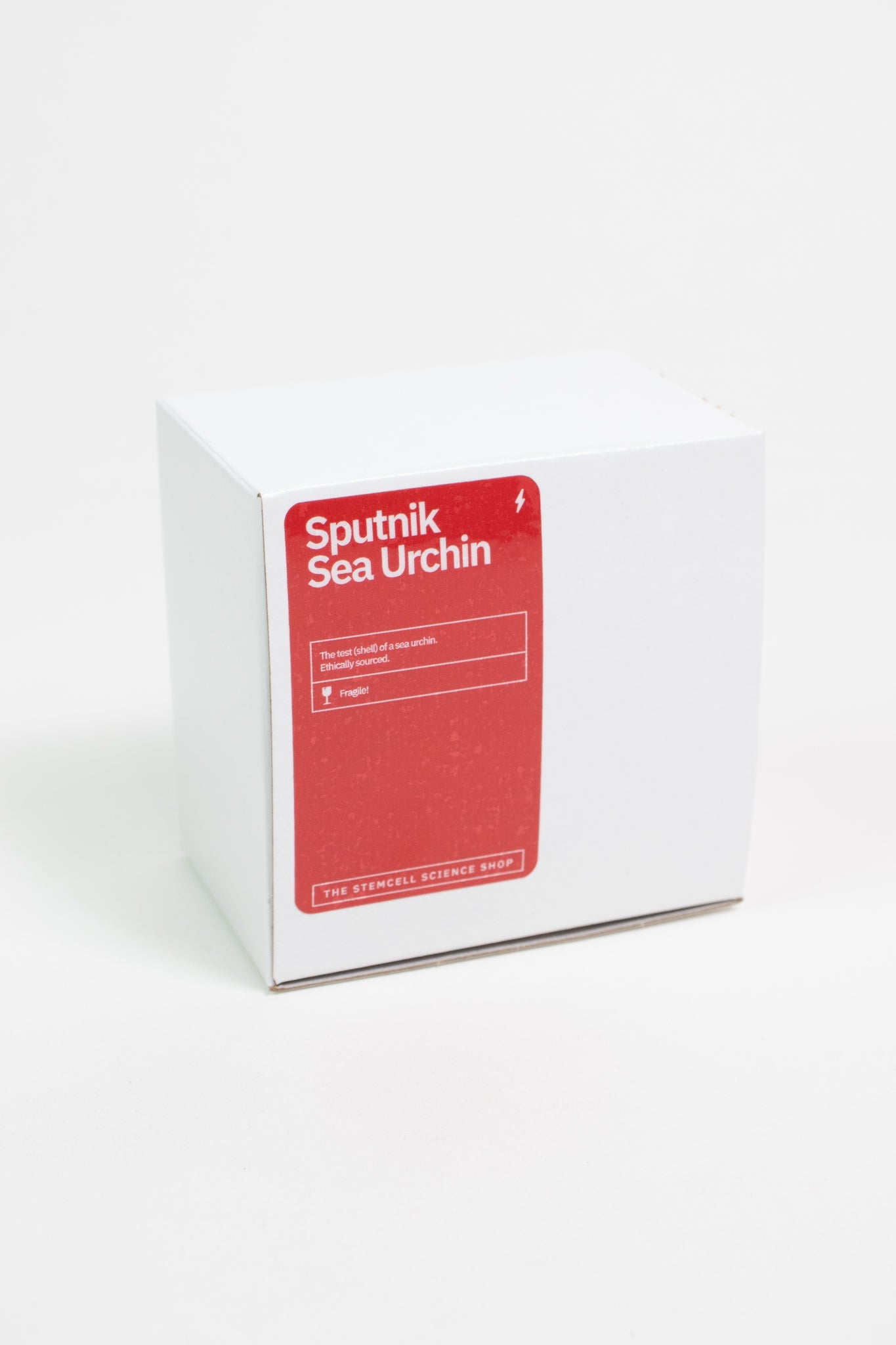 Sputnik Urchin Stemcell Science Shop