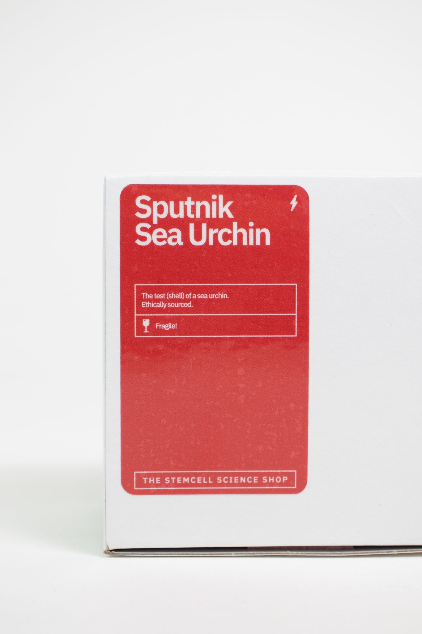 Sputnik Urchin Stemcell Science Shop