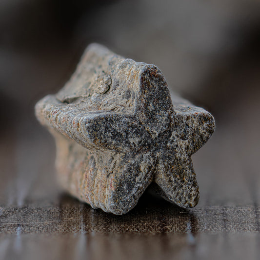 Crinoid "Star Stick" Pocket Fossil