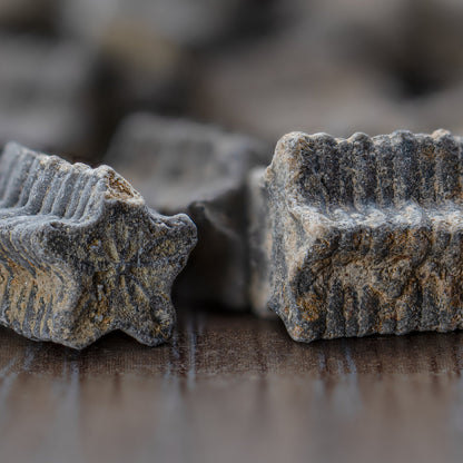 Crinoid "Star Stick" Pocket Fossil