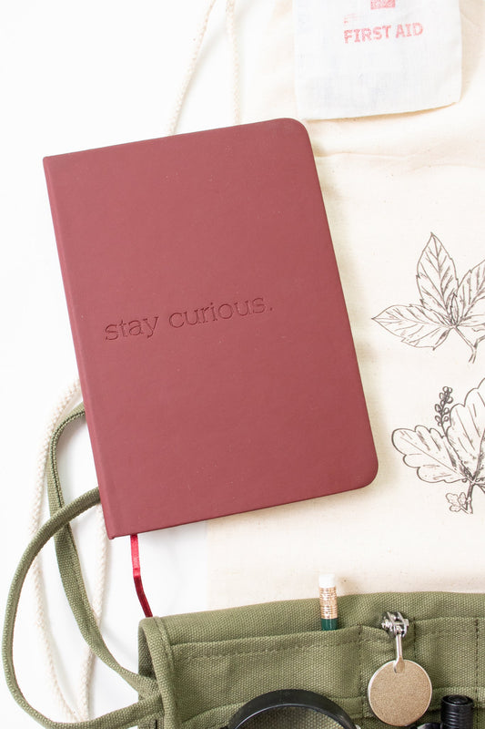 Stay curious journal Stemcell Science Shop