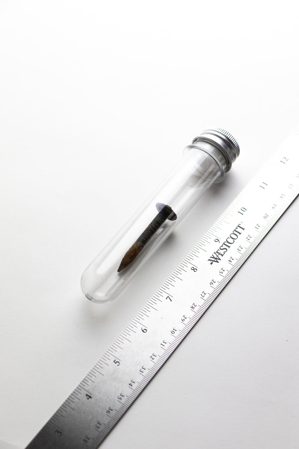 Steel Date Nail, 1945 at Stemcell Science Shop