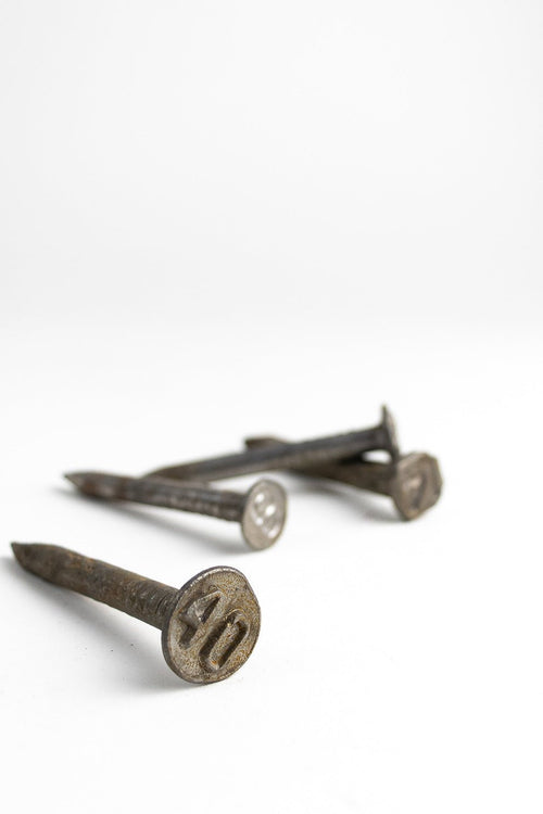 Steel Date Nail, 1945 at Stemcell Science Shop