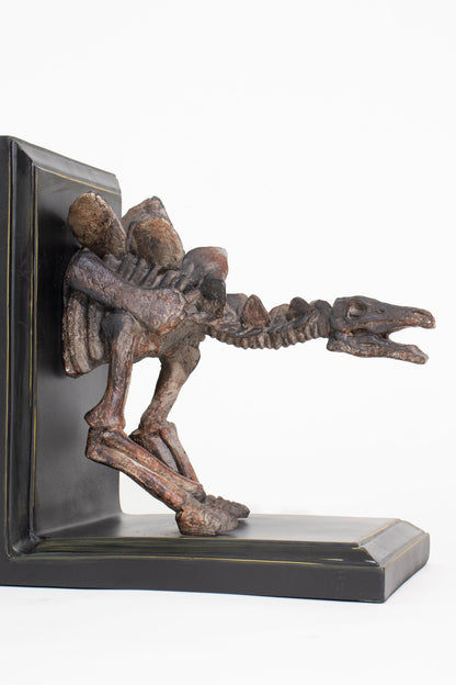 Stegosaurus Skeleton Bookend Set Fossil Stemcell Science Shop