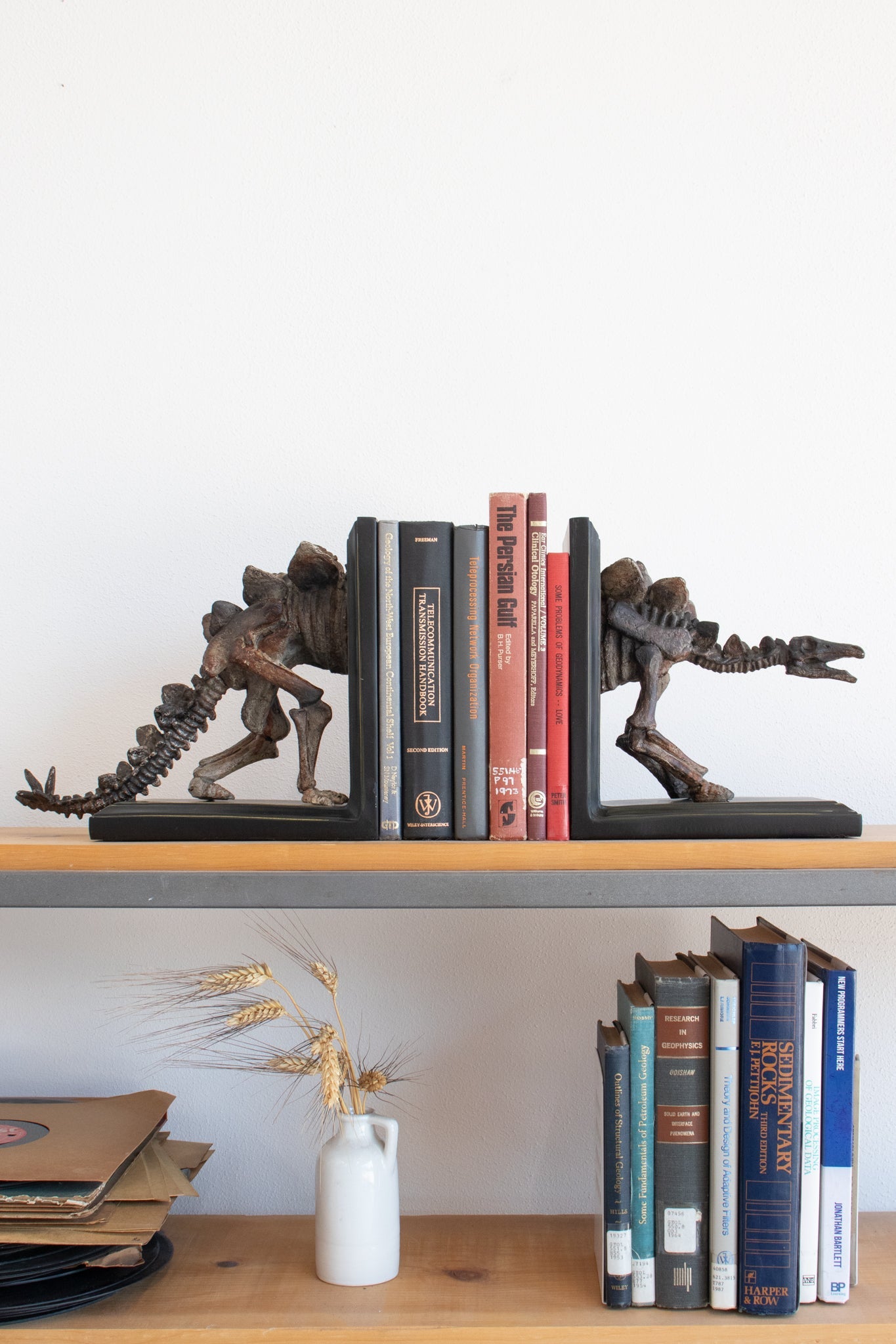 Stegosaurus Skeleton Bookend Set Fossil Stemcell Science Shop