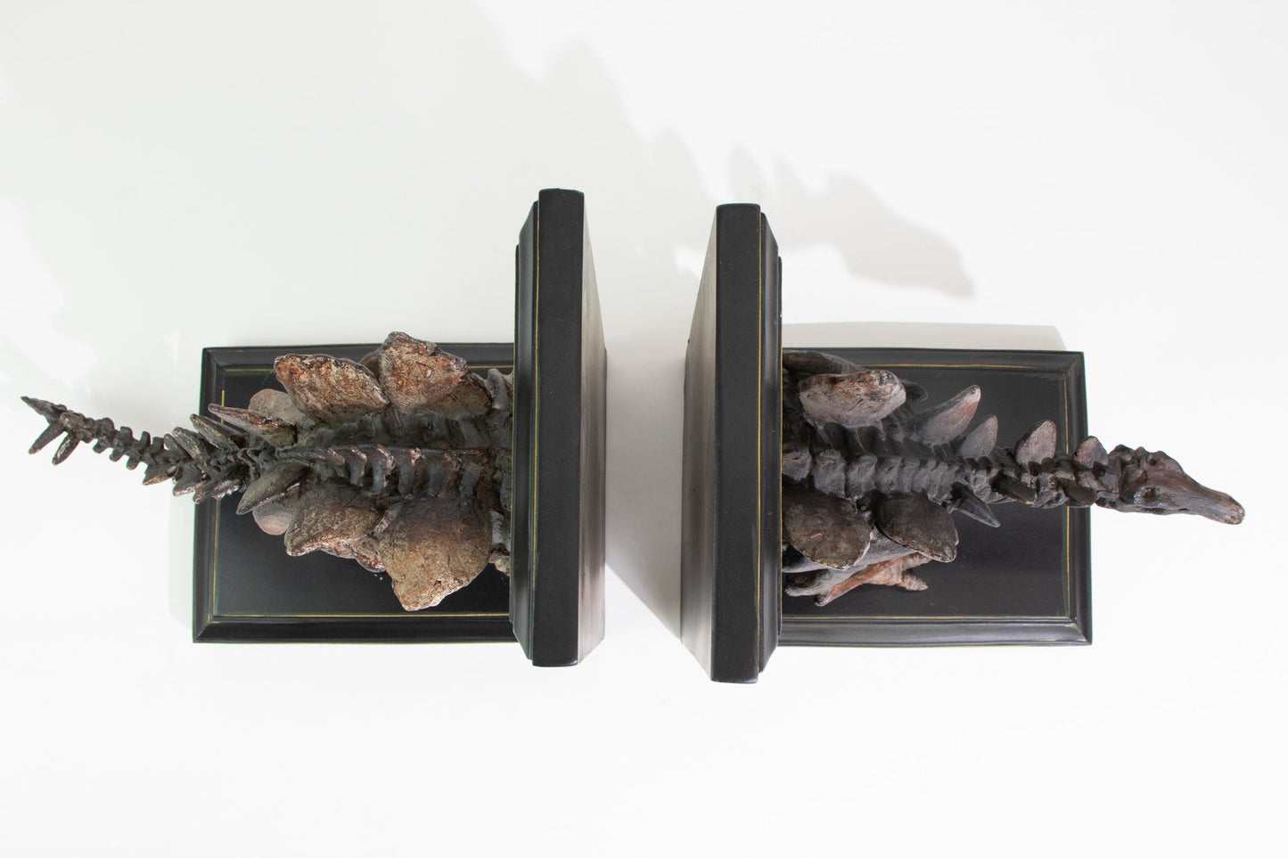 Stegosaurus Skeleton Bookend Set Fossil Stemcell Science Shop