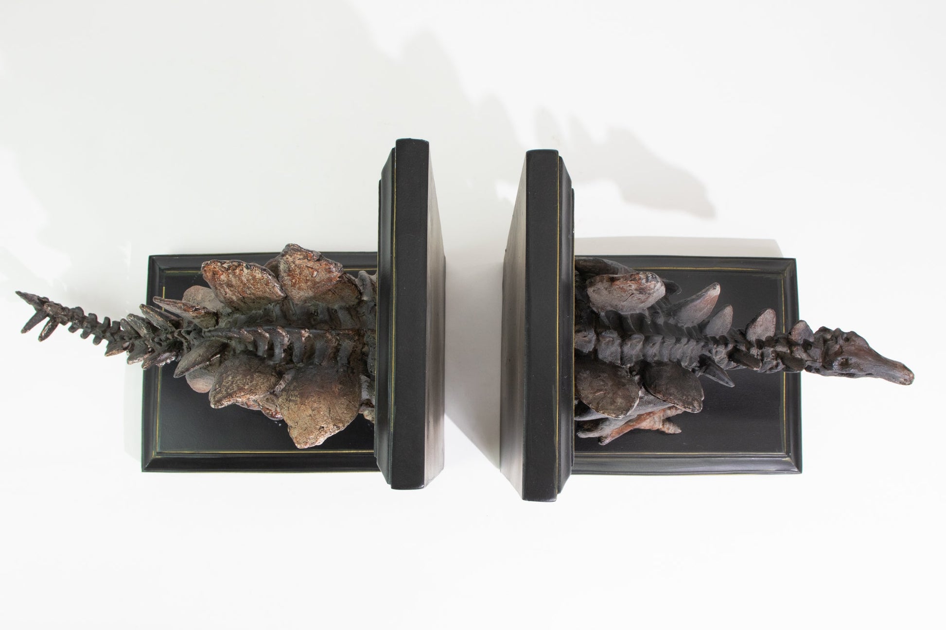 Stegosaurus Skeleton Bookend Set Fossil Stemcell Science Shop