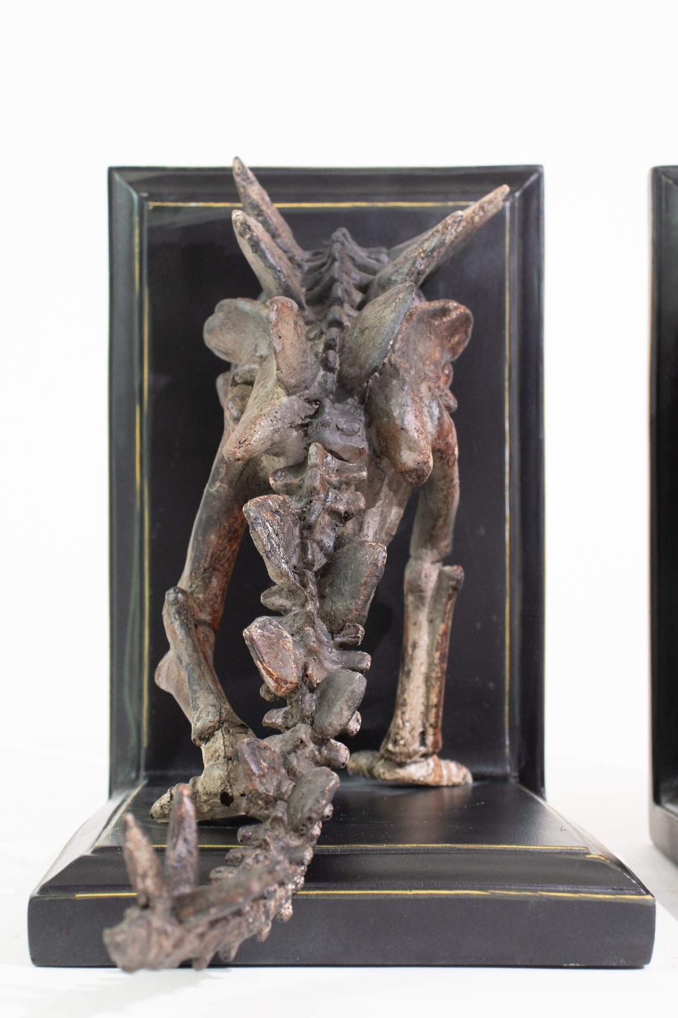 Stegosaurus Skeleton Bookend Set Fossil Stemcell Science Shop