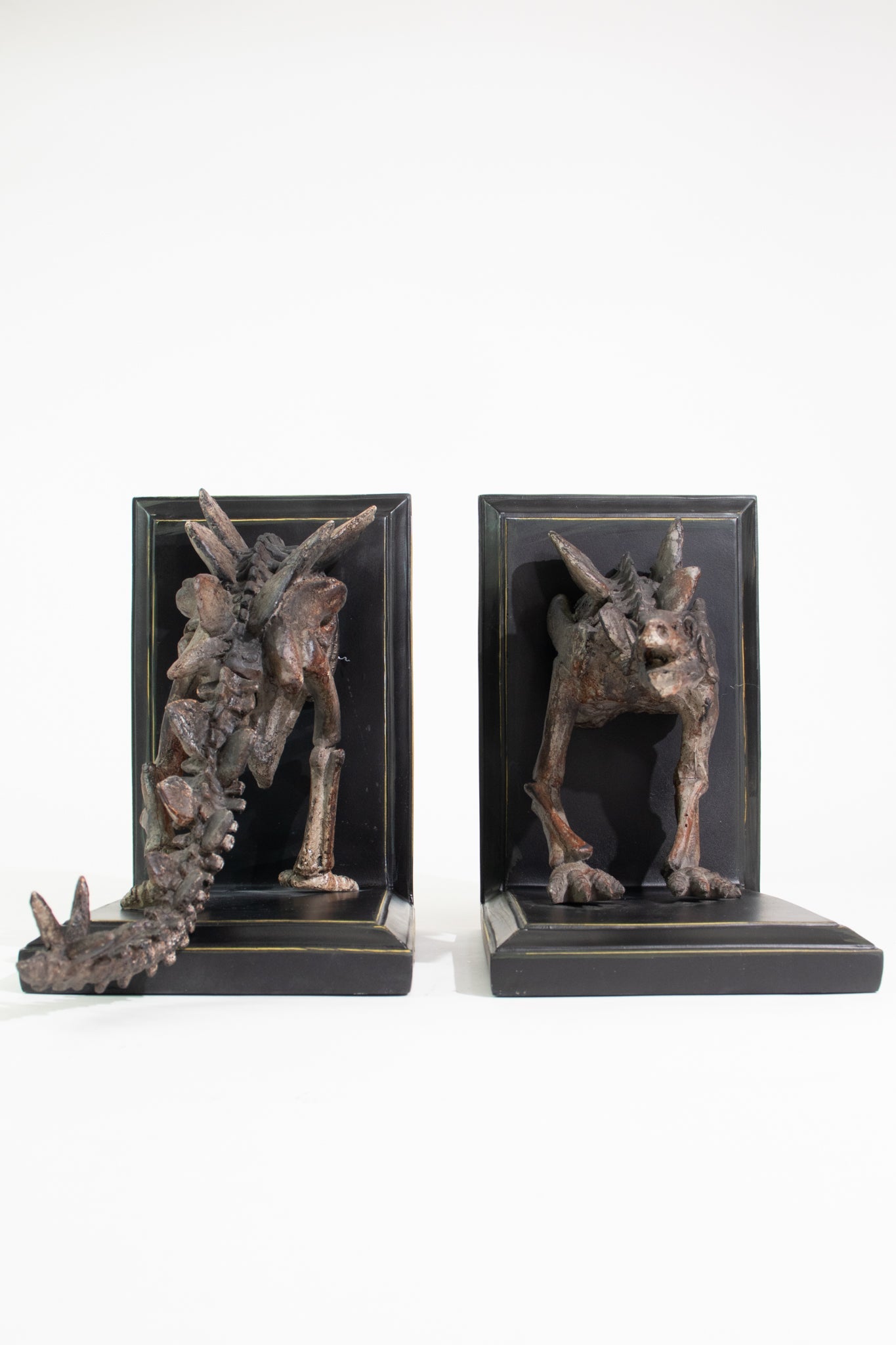 Stegosaurus Skeleton Bookend Set Fossil Stemcell Science Shop