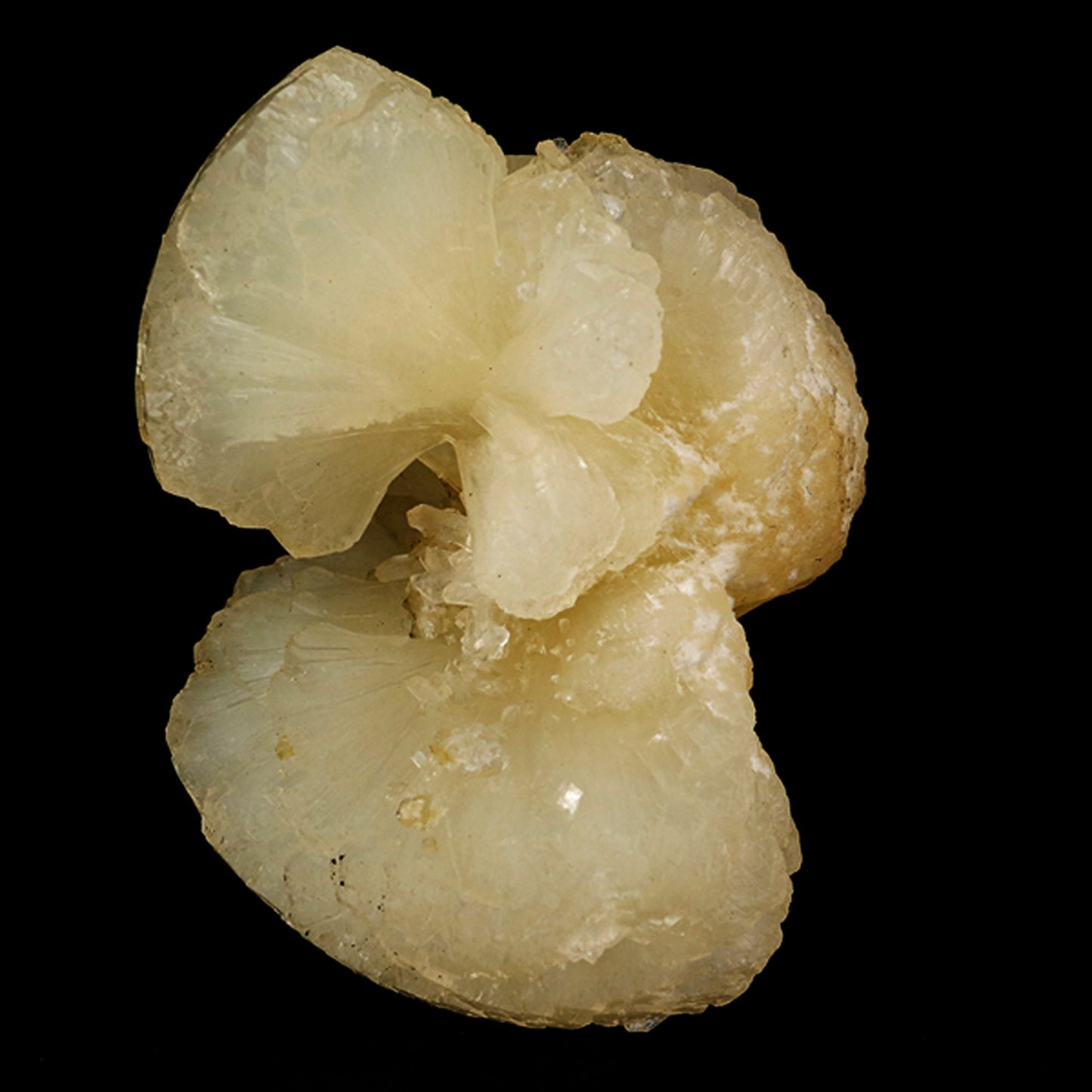 Stellerite Bow Natural Mineral Specimen # B 5897