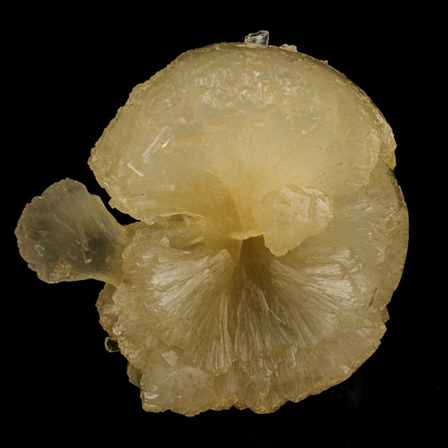 Stellerite Bow Natural Mineral Specimen # B 5955