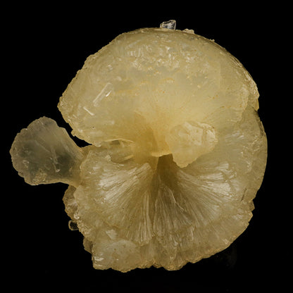 Stellerite Bow Natural Mineral Specimen # B 5955