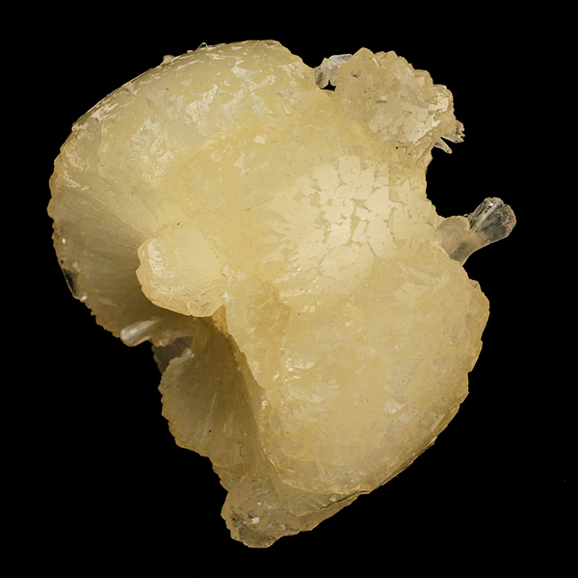 Stellerite Bow Natural Mineral Specimen # B 5955