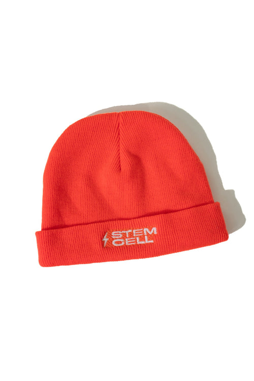Stemcell Youth Beanie, Orange at Stemcell Science Shop