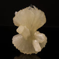 Stilbite Bow Natural Mineral Specimen # B 6750