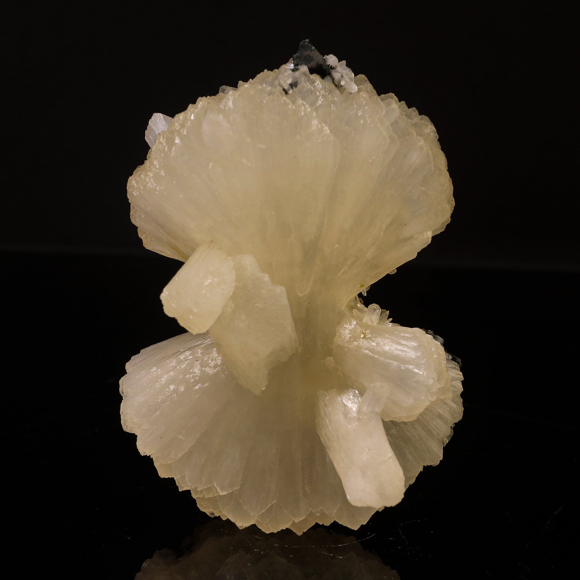 Stilbite Bow Natural Mineral Specimen # B 6750