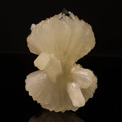 Stilbite Bow Natural Mineral Specimen # B 6750