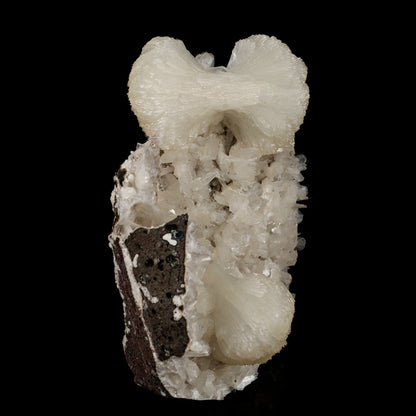 Stilbite bow shape formation Natural Mineral Specimen # B 5428