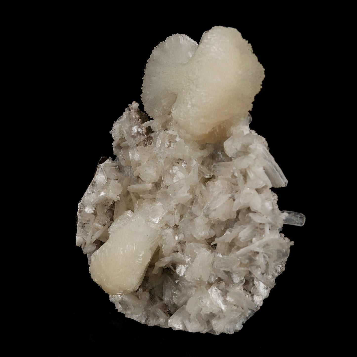 Stilbite bow shape formation Natural Mineral Specimen # B 5428