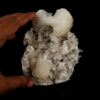 Stilbite bow shape formation Natural Mineral Specimen # B 5428