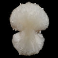 Stilbite 'Bow-Tie' Natural Mineral Specimen # B 6559