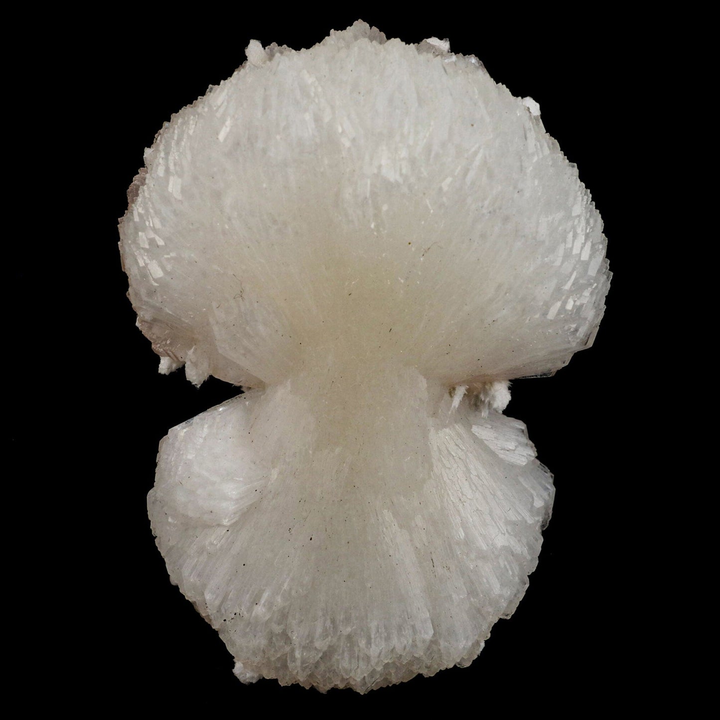 Stilbite 'Bow-Tie' Natural Mineral Specimen # B 6559