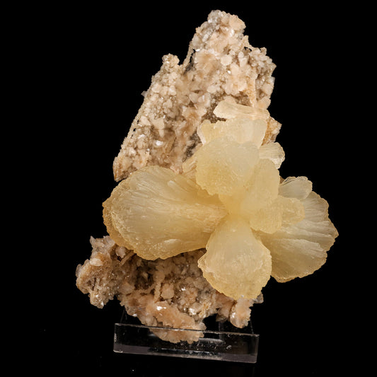 Stilbite 'Bow-Tie' on Heulandite Natural Mineral Specimen # B 6337
