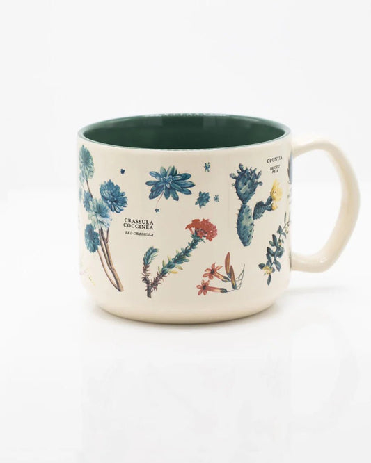 Succulents Ceramic Mug Stemcell Science Shop