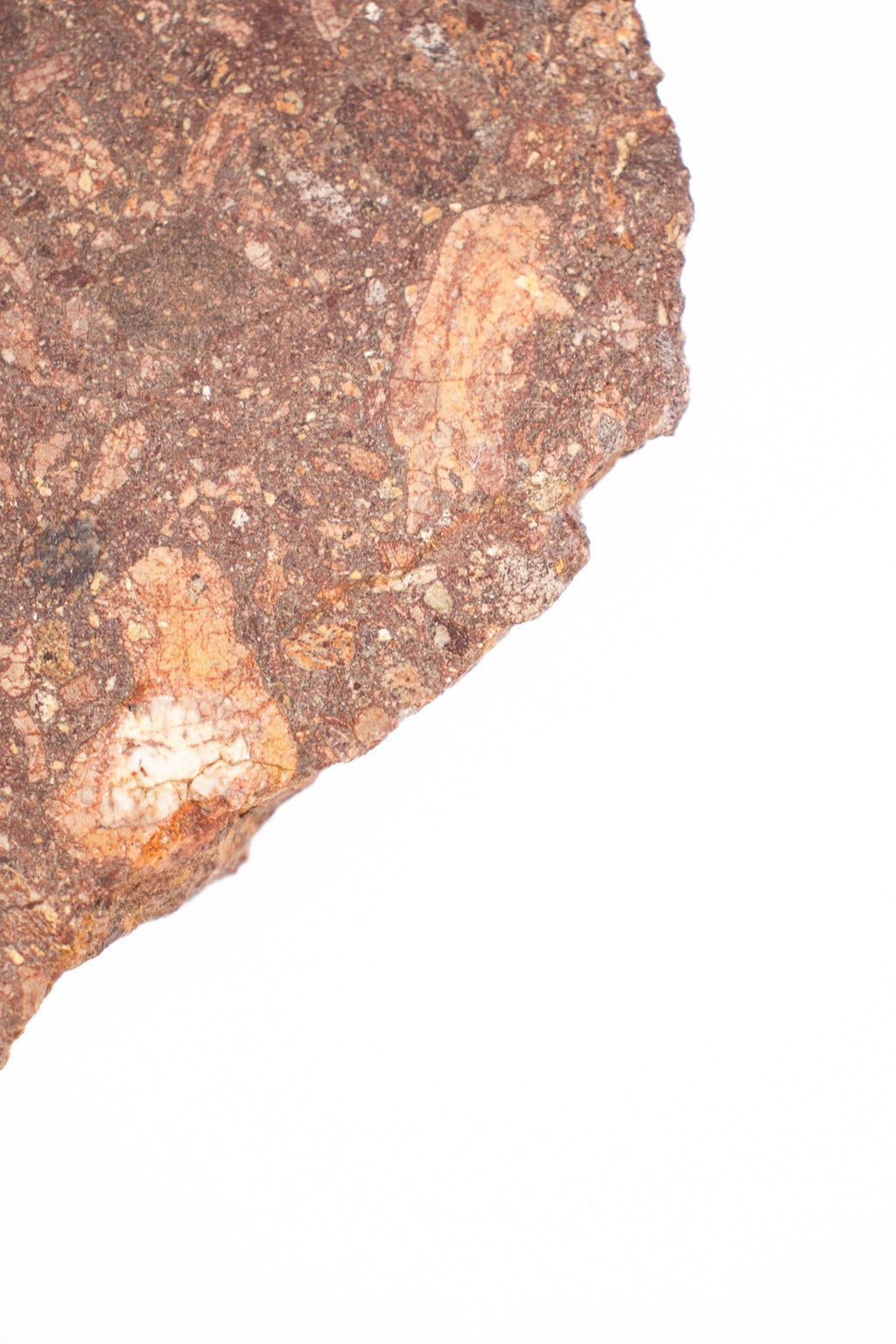 Suevite Fragment, Default Title at Stemcell Science Shop