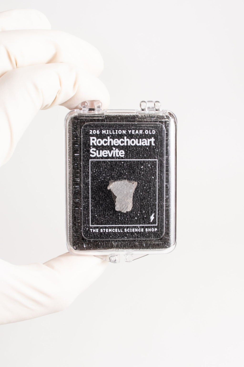Suevite Fragment, Default Title at Stemcell Science Shop