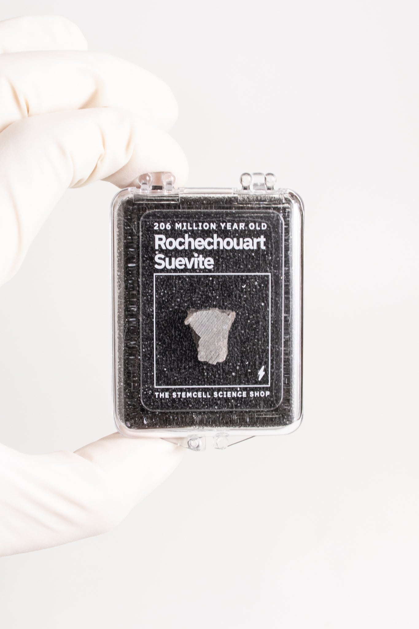 Suevite Fragment, Default Title at Stemcell Science Shop